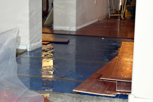 Professional Water Extraction technician working in Rudolph, OH